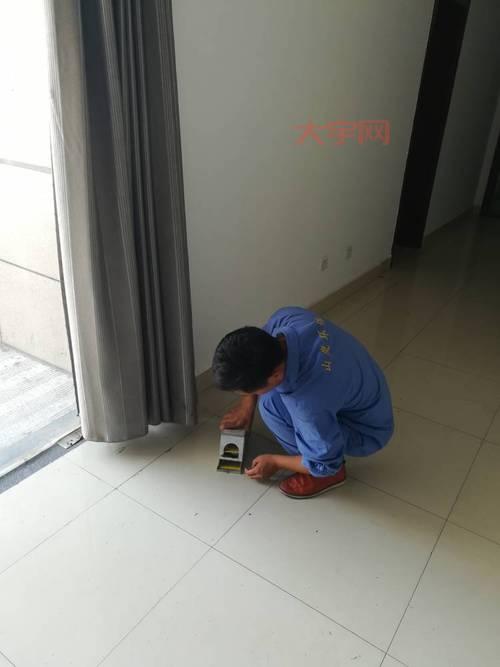 郑州杀虫公司哪家好？专业灭虫，高效除害！