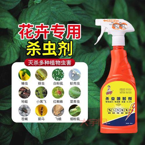 郑州杀虫公司哪家好？专业灭虫，高效除害！