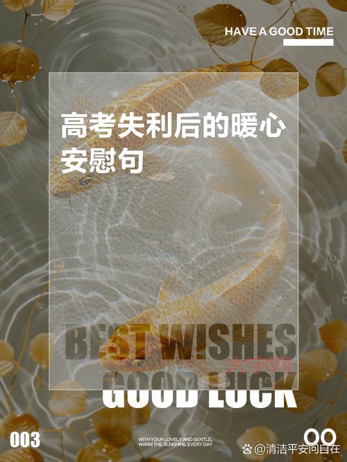 高考失利并不等于失败，人生还有无限可能