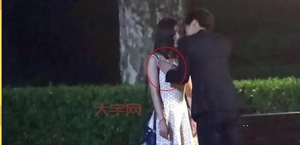 杨幂不雅视频种子流出？内幕曝光与法律责任