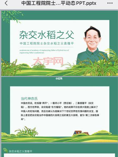 袁爷爷的一生:从北京小伙到“杂交水稻之父”的传奇故事