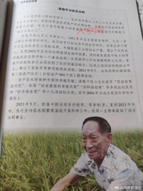 袁爷爷的一生:从北京小伙到“杂交水稻之父”的传奇故事