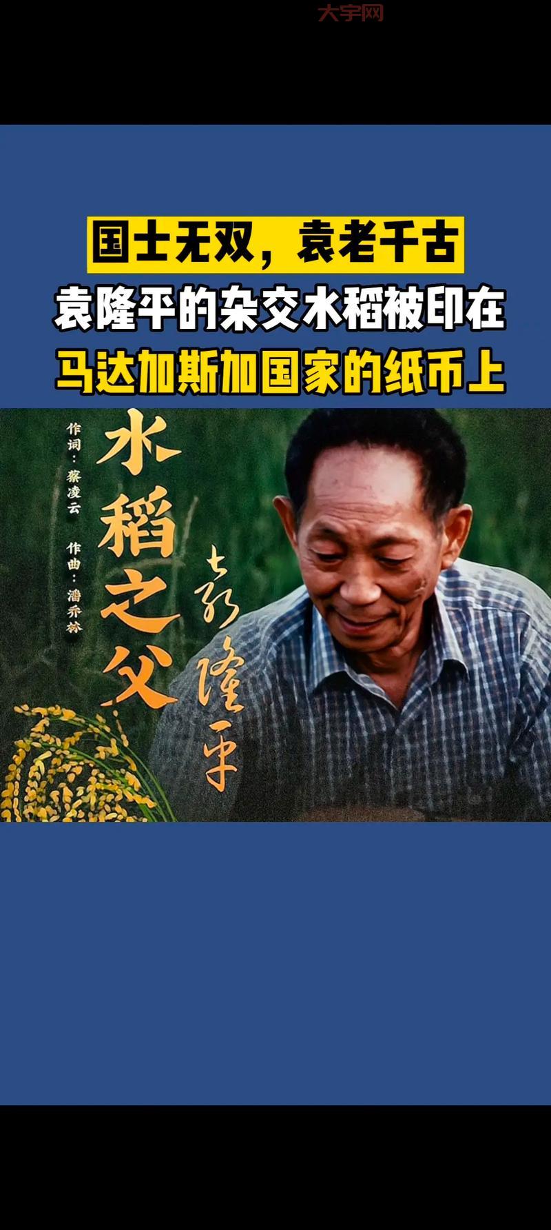 袁爷爷的一生:从北京小伙到“杂交水稻之父”的传奇故事