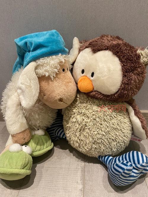 现代安全帽是受到什么动物的启发?答案竟然是这种鸟!