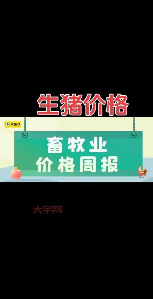 今年猪价行情持续低迷，养猪户该何去何从？