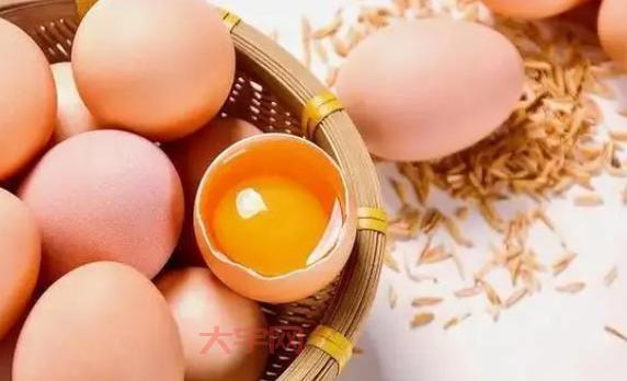 新鲜的鸡蛋最好不要和什么放一起?这几样食物要避开