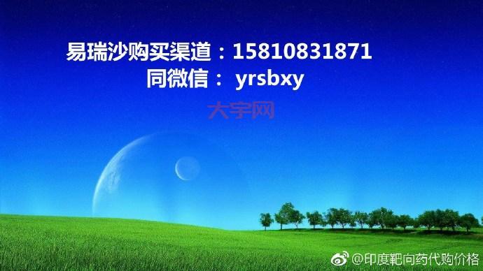 aaalogo中文版哪里下载？官方渠道安全无毒！