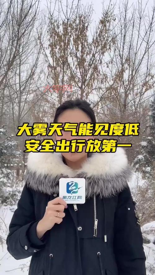 上海大雾能见度低?这些出行方式更安全!