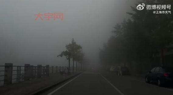 上海大雾能见度低?这些出行方式更安全!