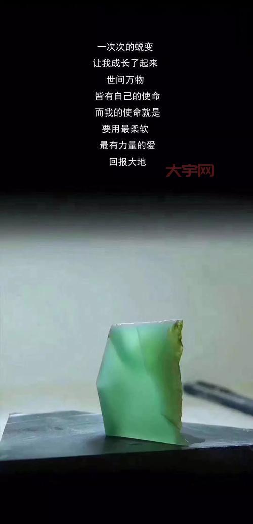 张晓琦的传奇人生，从平凡到不凡的蜕变之路