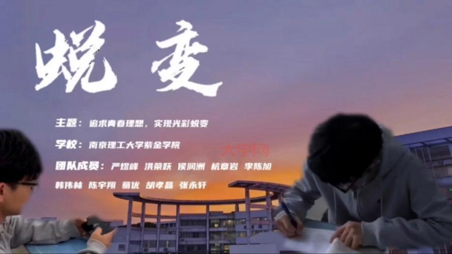 张晓琦的传奇人生，从平凡到不凡的蜕变之路