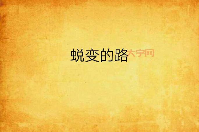 张晓琦的传奇人生，从平凡到不凡的蜕变之路