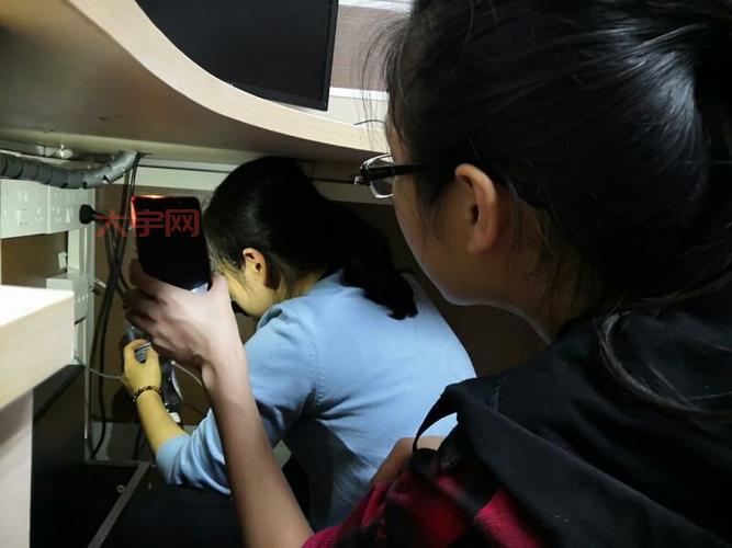 张晓琦的传奇人生，从平凡到不凡的蜕变之路