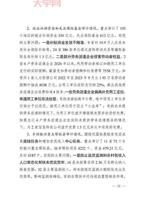 预算执行审计报告重要吗？这篇文章告诉你答案！