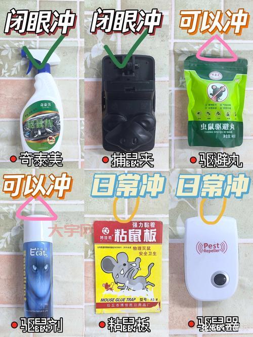 老鼠太多怎么消灭？试试这几种消灭老鼠的妙招！