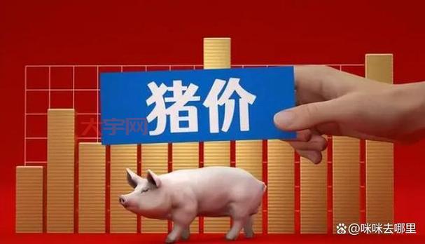中国猪肉价格为什么这么贵？背后的原因你知道吗？