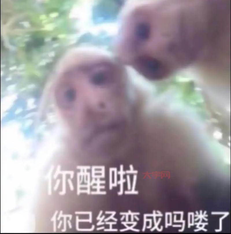 抖音胖乐睡觉太可爱了！网友直呼受不了啦！