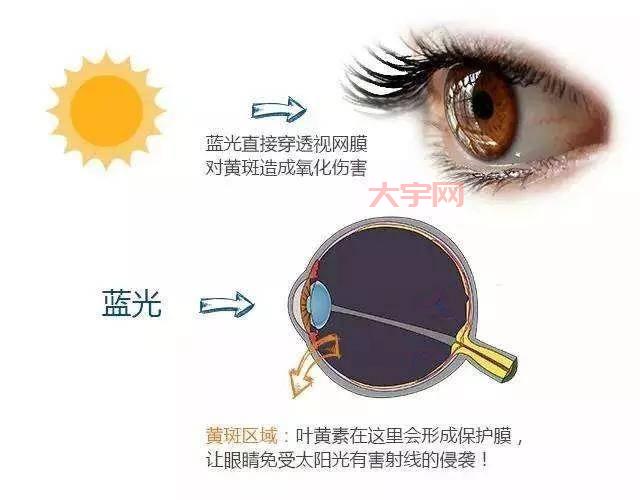 老鼠 pis 的危害有哪些？这几点一定要知道！