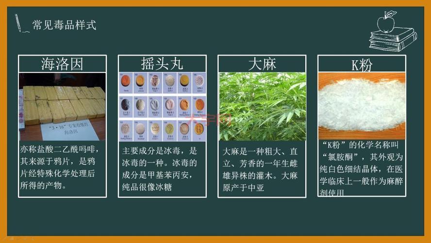 老鼠 pis 的危害有哪些？这几点一定要知道！