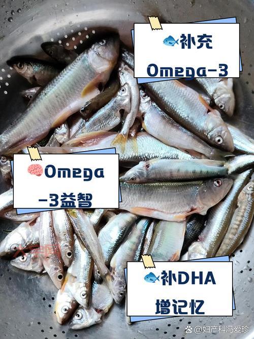 鱼会发声说话吗？动物学家为你揭秘鱼类声音奥秘！