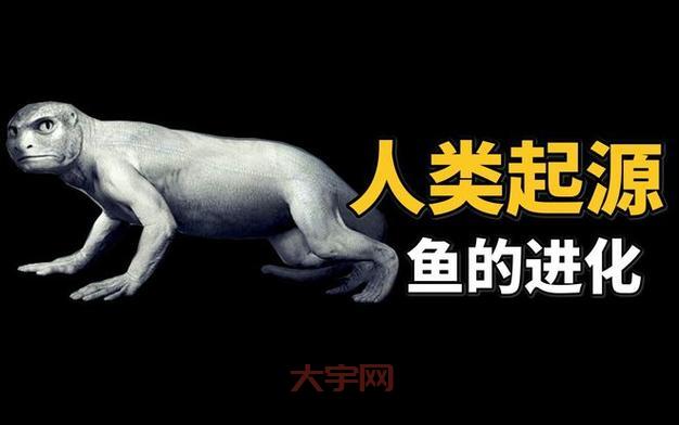 鱼会发声说话吗?动物学家为你揭秘鱼类声音奥秘!