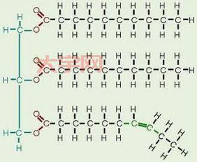 钢铁重组对我们有啥影响？专家分析不得不看！