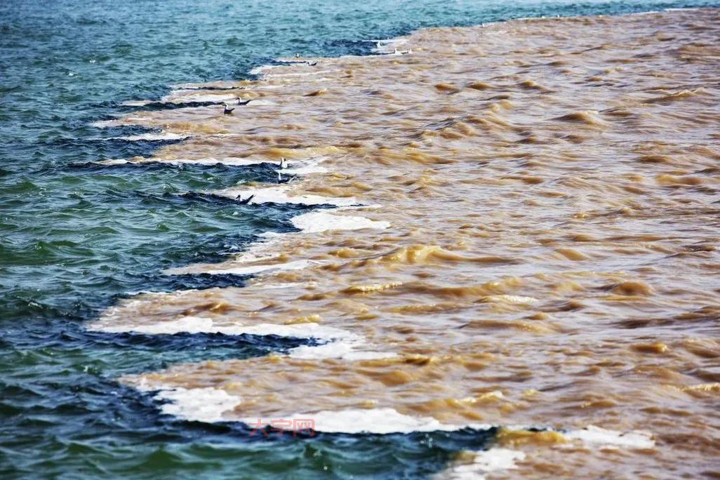 世界上最淡的海是哪个？它的含盐量有多低？