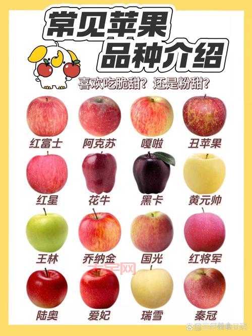湖南苹果怎么挑选?记住这几招买到正宗好苹果!
