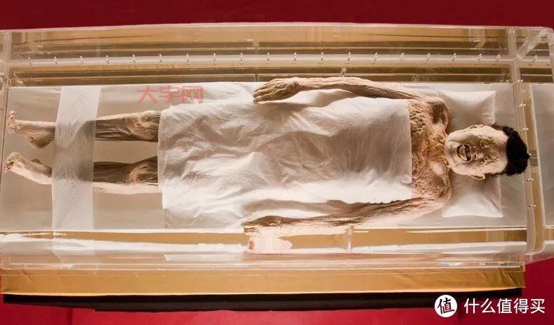 创世神通是什么？一篇文章带你了解来龙去脉！