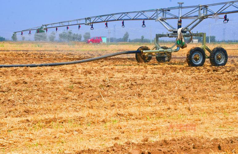 抗旱保苗关键期是什么时候？抓住时机灌溉是关键！