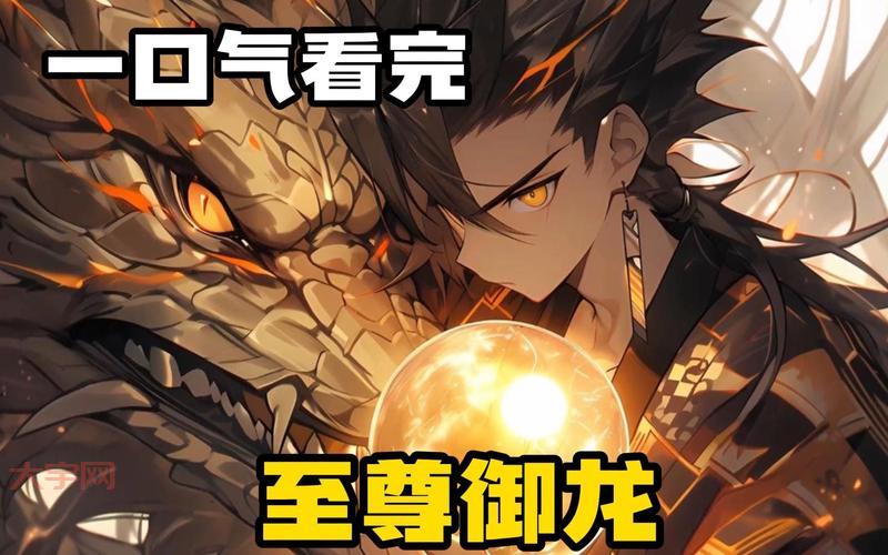 御龙至尊力是什么？新手必看快速上手攻略！