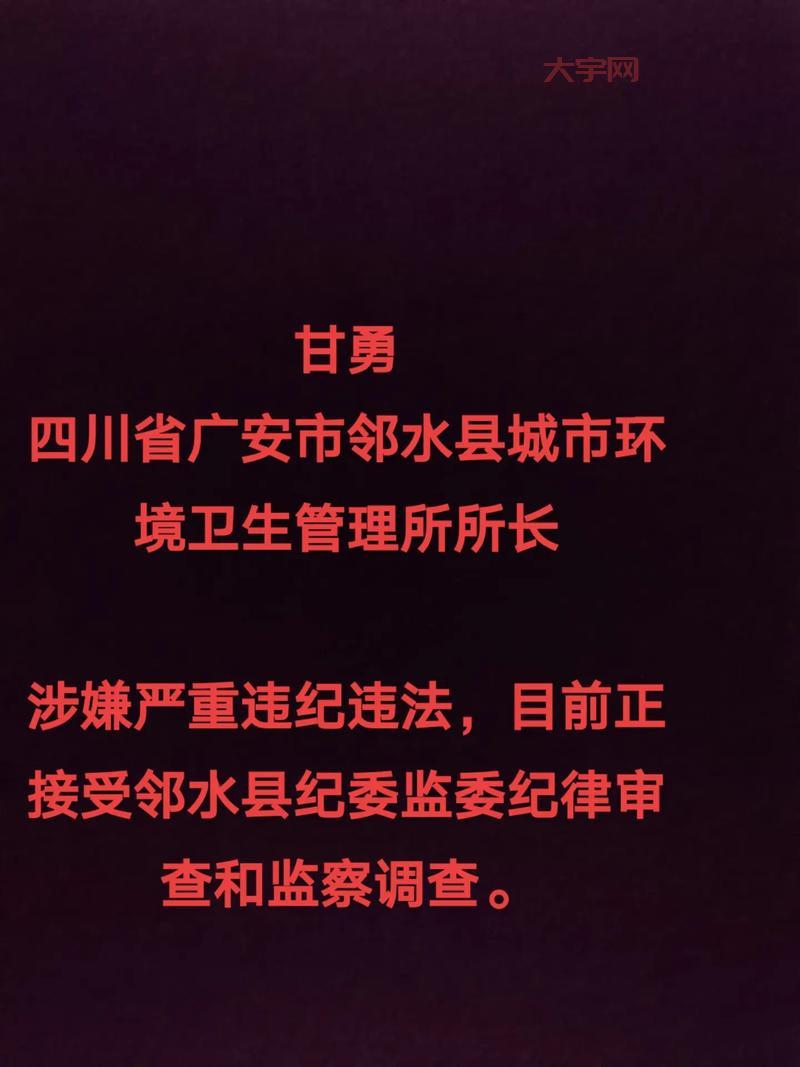 邻水新闻哪里找？这几个地方让你消息灵通！