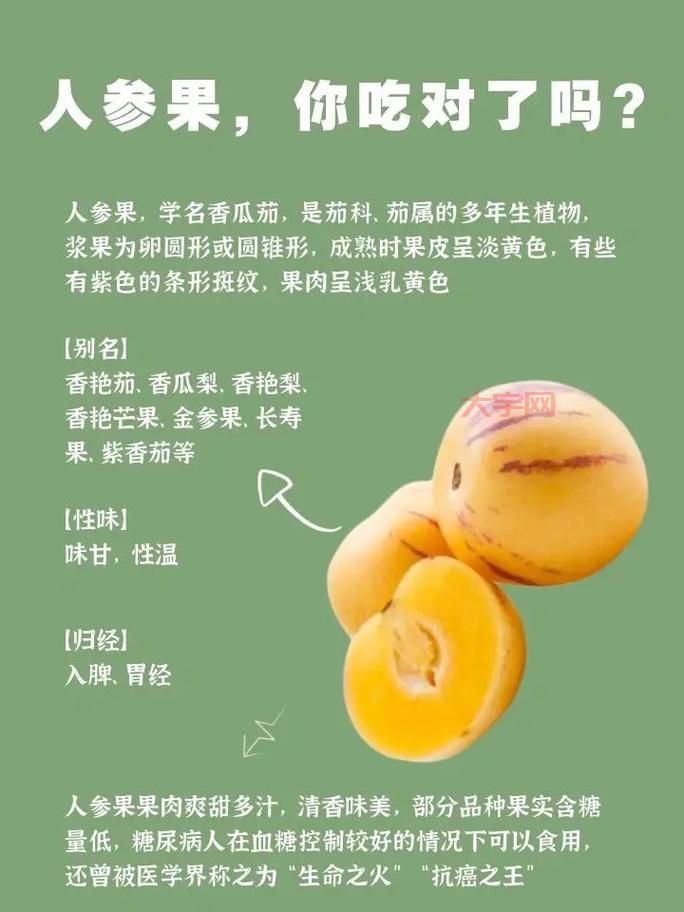 超级人参果属性详解，看完这篇你就全明白了！