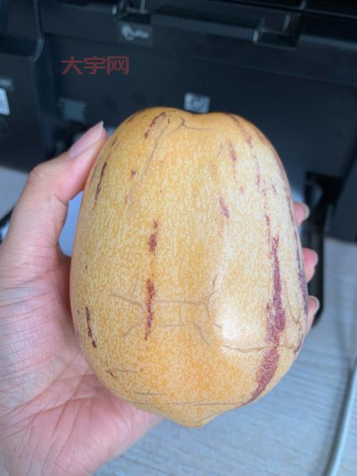 超级人参果属性详解，看完这篇你就全明白了！