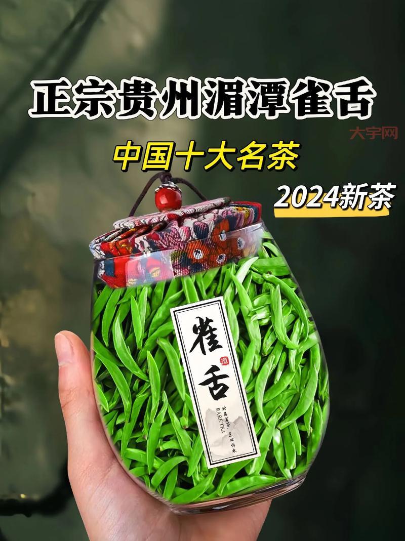 添炉烹雀舌属于什么茶？新手入门必看小知识！