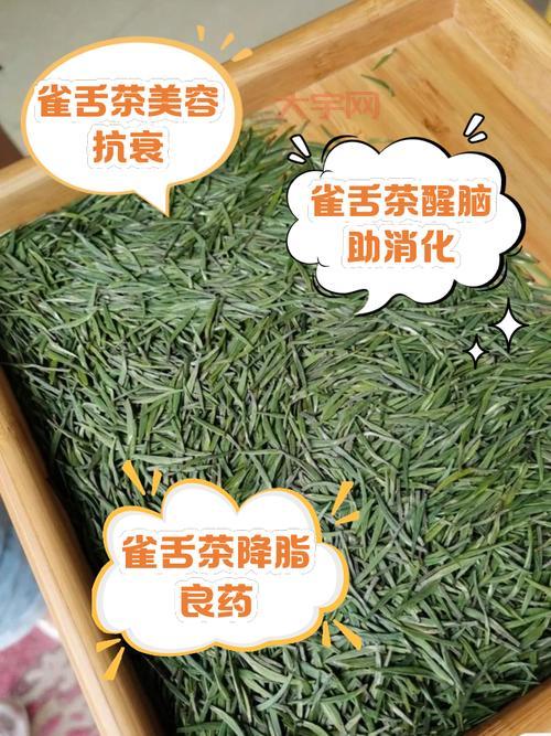 添炉烹雀舌属于什么茶？新手入门必看小知识！