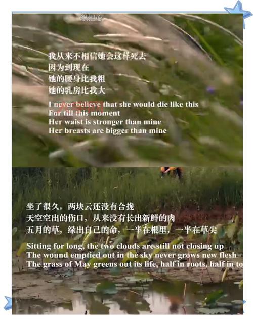 脑瘫诗人余秀华的诗歌，为何如此震撼人心？