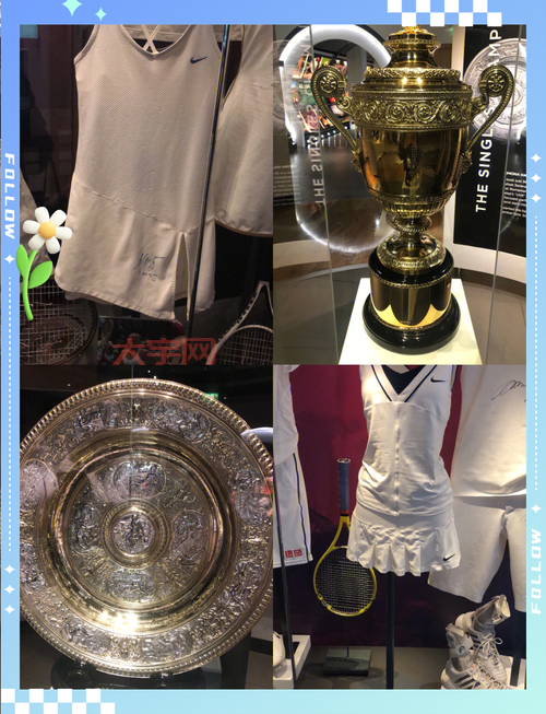 费德勒vs穆雷哪场比赛最精彩?球迷票选结果出炉