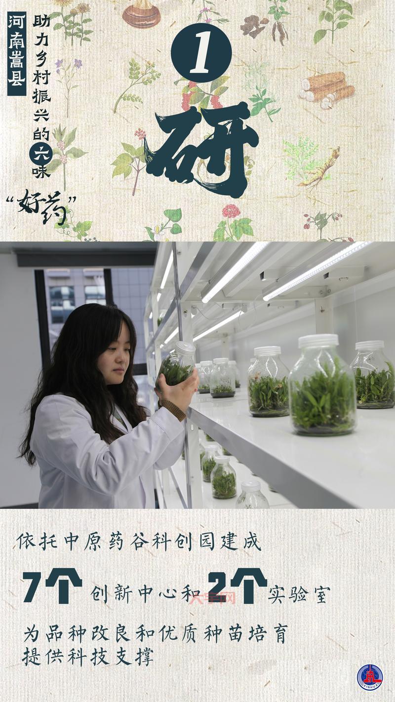 什么影响了你的采药收益？这几个关键因素必须知道！