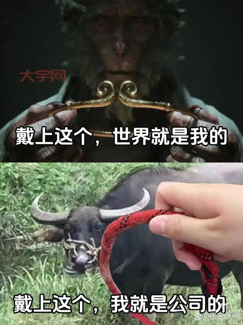 我的天！这才是的真正含义，很多人都理解错了！