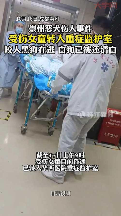 不小心被罗威纳咬人了怎么办？及时处理很重要！