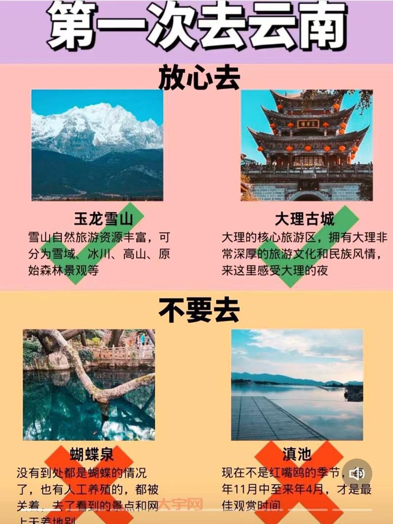 云南导游事件引关注，游客如何保护自身合法权益？