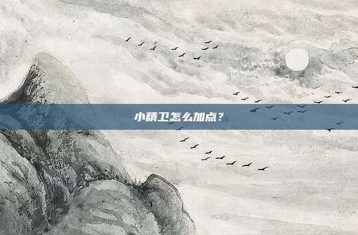 小精卫怎么加点？