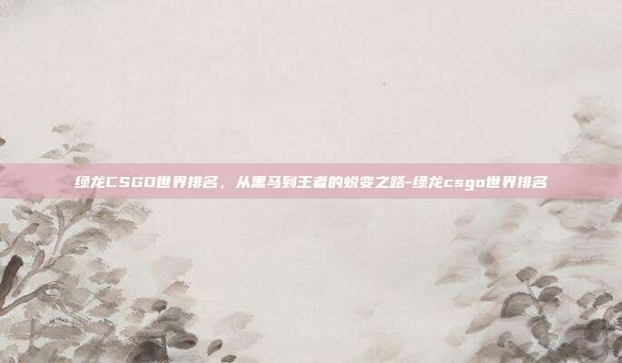 绿龙CSGO世界排名，从黑马到王者的蜕变之路-绿龙csgo世界排名