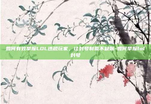 如何有效举报LOL违规玩家，让封号制裁不缺席-如何举报lol封号