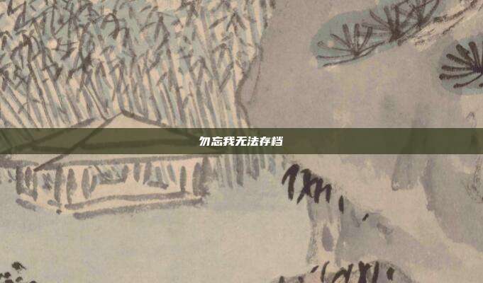 勿忘我无法存档