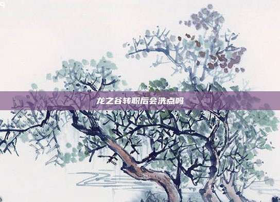 龙之谷转职后会洗点吗