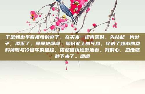 于是我也学着祖母的样子，在买来一把青菜时，先拈起一片叶子，凑近了，静静地闻闻。那份泥土的气息，穿透了超市的塑料薄膜与冷链车的里程，依然固执地鲜活着。我的心，忽地就静下来了。闻闻