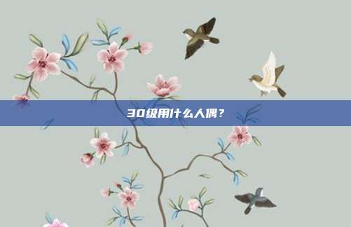 30级用什么人偶？