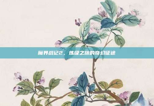 魔界战记2，炼级之旅的奇幻征途